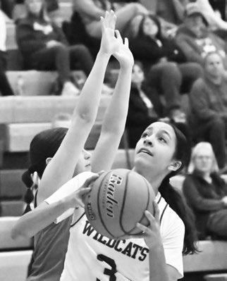 SCOUTING REPORT FAILS ST. PAUL