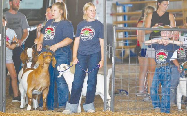 EXHIBITORS wait to enter the show ring prior to the start of Sunday afternoon’s Howard County Fair 4-H Goat Show. A large number of goat and sheep showmen participated in the event earlier this week, despite the extreme heat. Photos by Michael Happ