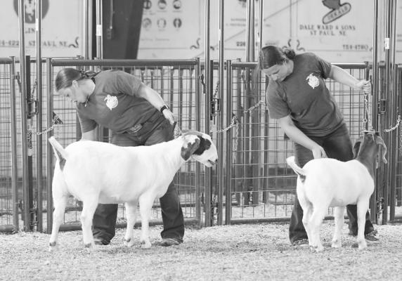 HOWARD COUNTY FAIR