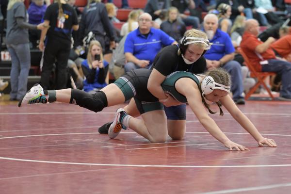 wrestle