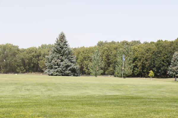 DROUGHT CONDITIONS had taken their toll on the greens at the St. Paul Country Club following an abnormally dry winter and spring. Due to the drought, the club was forced to reseed the greens, causing them to be closed for about six weeks. (Courtney Leth)