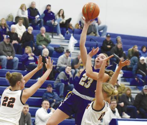 LADY ORANGE LOOM LARGE OVER ’CATS