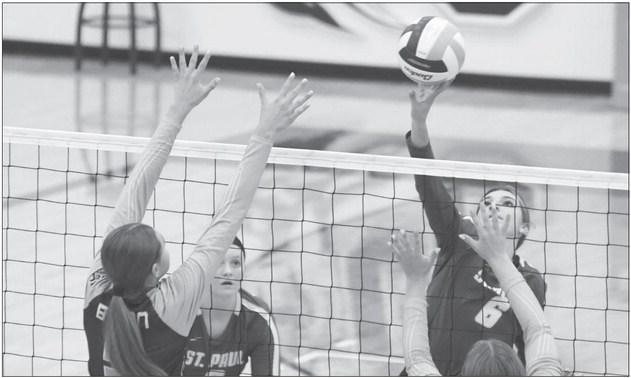 Wildcats’ offense shines against Bison