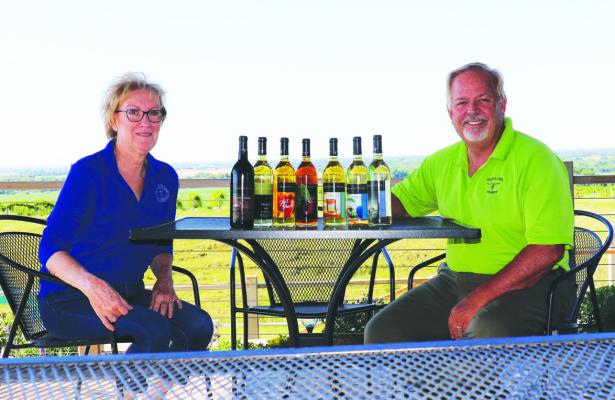 Decade after rebuild, winery continues to grow