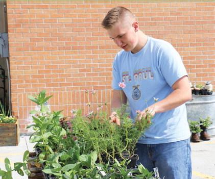 GARDENING FOR A GOOD CAUSE