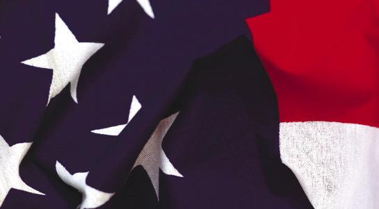 CELEBRATE FLAG DAY