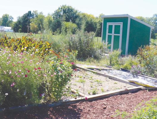 Garden enjoyed by participants, pollinators