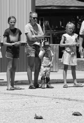Turtle races a success in Wolbach