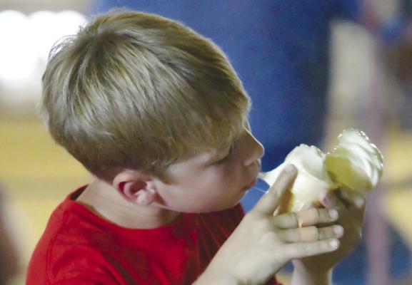JT KOSMICKI takes a lick of complimentary ice cream during the Howard County Fair’s Livestock Premium Auction last Wednesday afternoon.