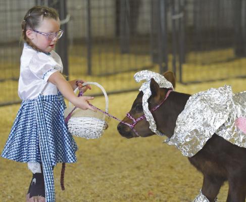 HOWARD COUNTY FAIR