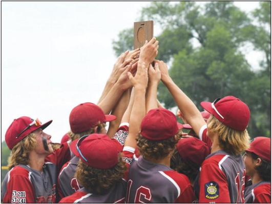 MEMBERSof the Dannebrog-Cairo-Boelus Senior American Legion baseball team celebrate their 7-3 victory over Shelton/Gibbon last Tuesday afternoon following the American Legion Area C-6 Tournament championship game. (Jordan Coslor)