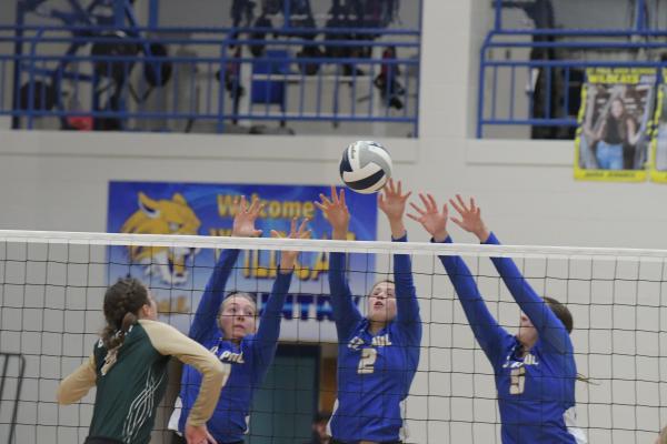 volleyball