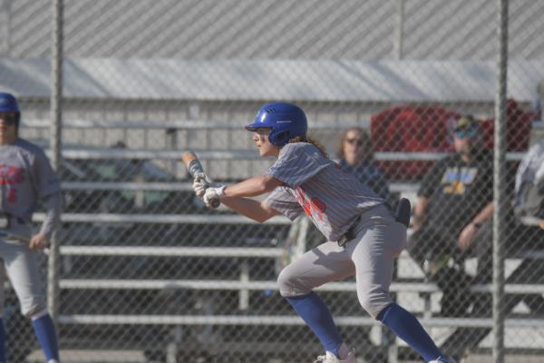 Cats Upset Patriots in Season Opener
