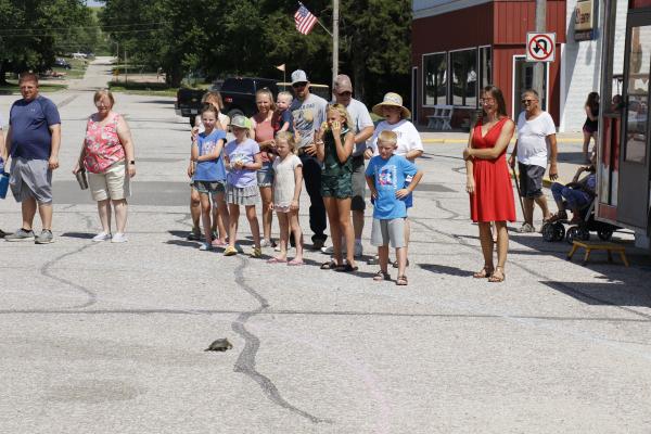 A SIZABLE CROWD gathered on Sunday afternoon to watch the turtle races on main street in Wolbach. Seventy-seven turtles competed in this year’s event. (Michael Rother)