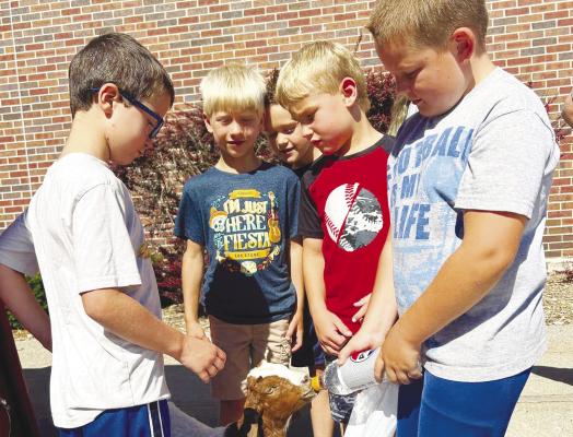 RYDER PERREL (far right) feeds a goat at the Summer Reading goat show in late June while (left to right) Paul Holms, Joseph Tomlinson, Paxton Killinger, and Kellen Seaman watch. Courtesy Photo