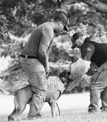 HOWARD COUNTY SHERIFF’S OFFICE Deputy Malik Bear Heels and his K-9 partner Dusty displayed Dusty’s talents during National Night Out. Helping out with the demonstration was Deputy Jerome Thurnau.
