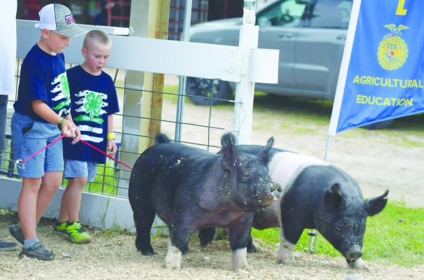 New events, old favorites draw crowds to county fair