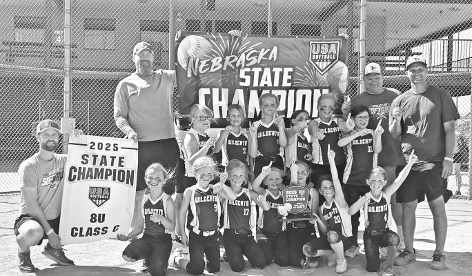 THE ST. PAUL 8U SOFTBALL