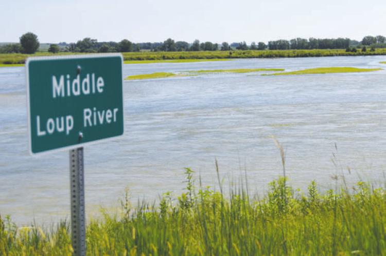 CONSISTENT AND TIMELY RAINS have helped keep flows in the Middle Loup River and the entire Loup River system consistent in recent weeks. Higher river levels come following a historically dry start to the summer. Photo by Erin Nye