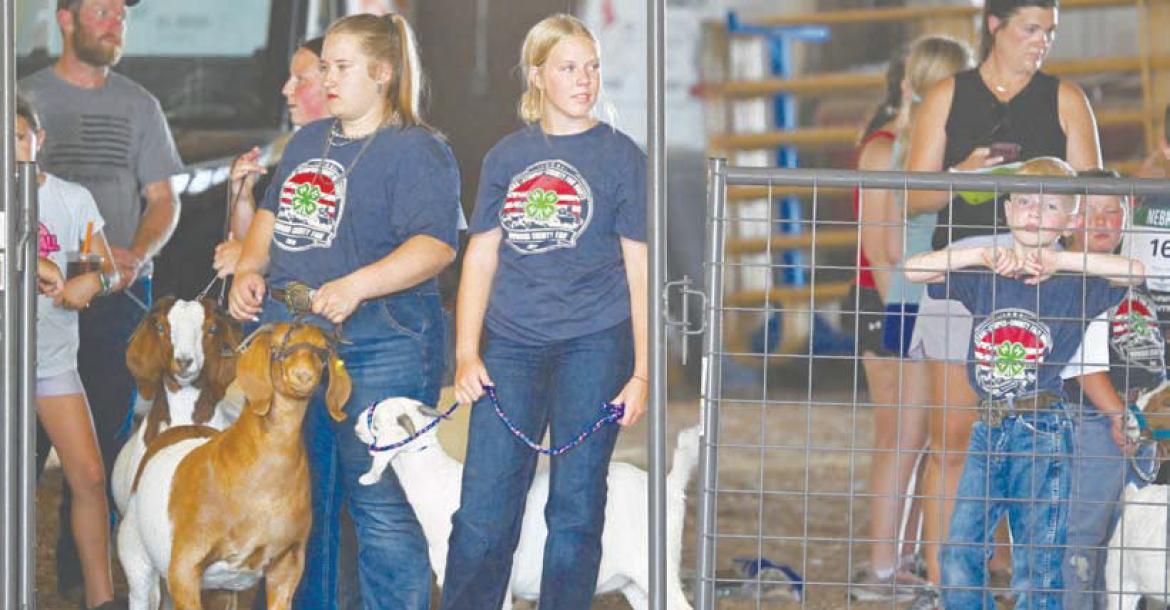 EXHIBITORS wait to enter the show ring prior to the start of Sunday afternoon’s Howard County Fair 4-H Goat Show. A large number of goat and sheep showmen participated in the event earlier this week, despite the extreme heat. Photos by Michael Happ