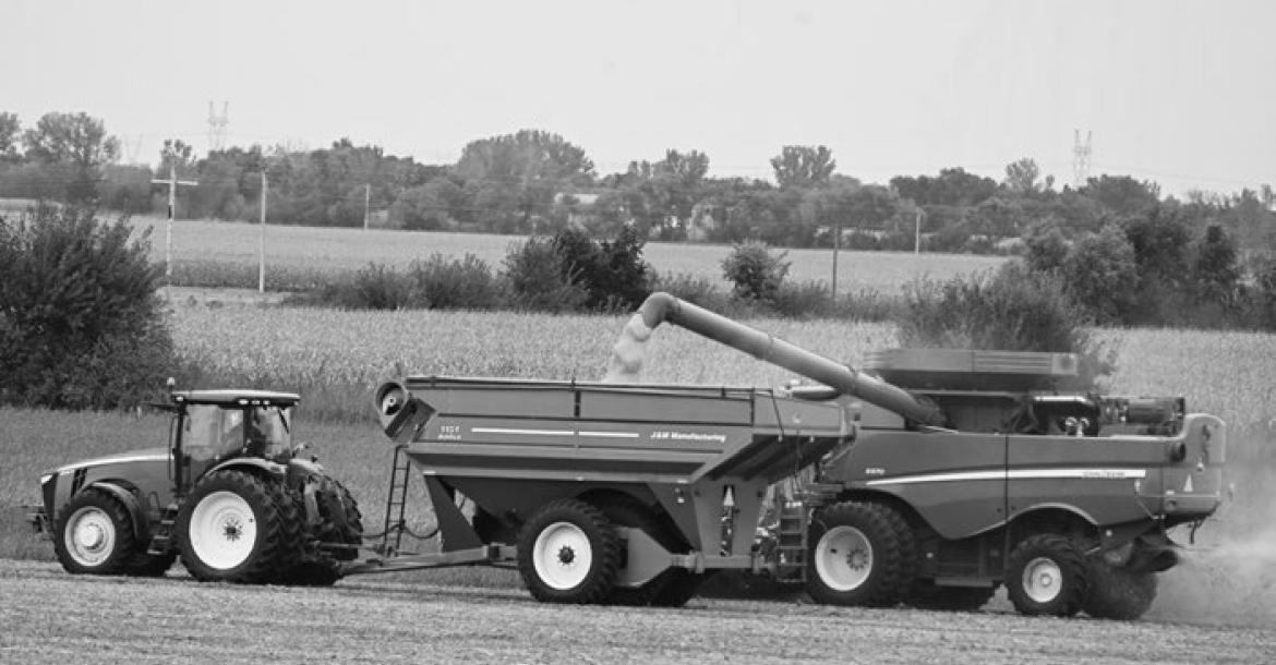 CORN AND SOYBEAN HARVEST continued across Nebraska this week. According to the University of Nebraska Institute of Agriculture and Natural Resources, despite multiple days suitable for fieldwork last week, soybean harvest remains well behind its usual pace, with corn harvest also trailing traditional benchmarks. Above, farmers work to harvest soybeans in a field east of St. Libory last Wednesday afternoon. Photo by Michael Happ